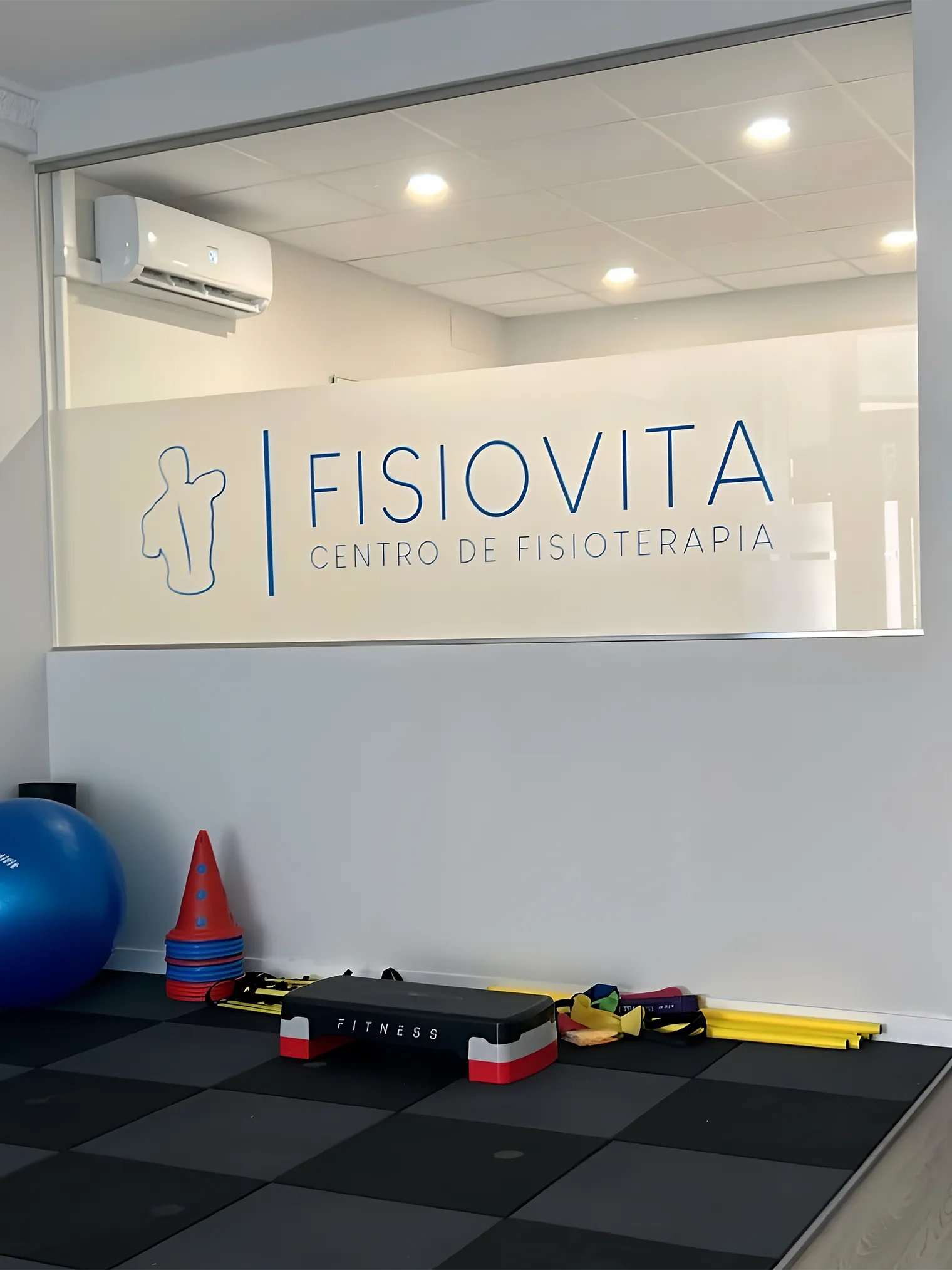 Identidad aplicada en Fisiovita